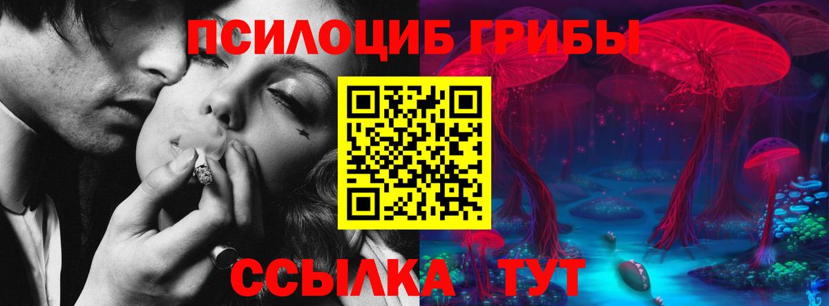 Соль-Илецк  Псилоцибиновые грибы прущие грибы  Галлюциногенные грибы мицелий  Вход с VPN 